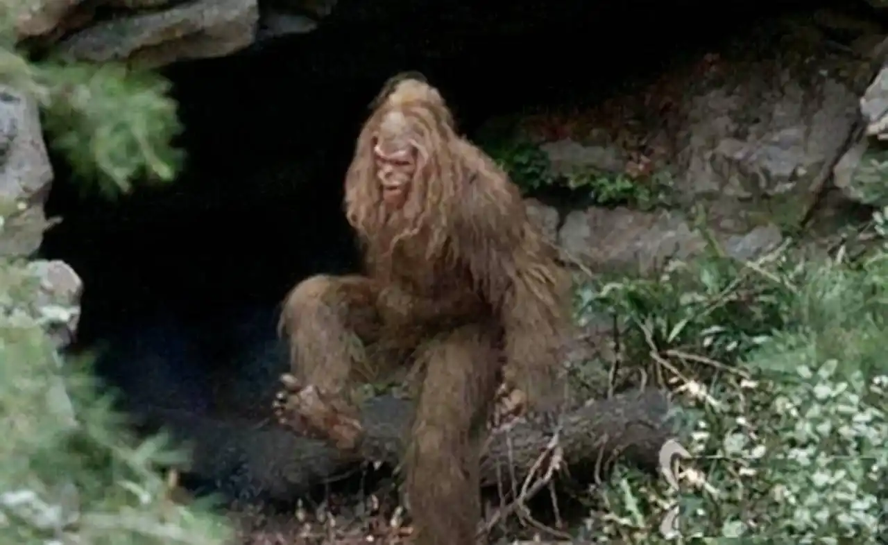 为寻野人他扎根深山27年三婚三离背后是执着还是可笑