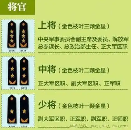 列兵,上等兵,下士,中士,上士,四级军士长,三级军士长,二级军士长,一级