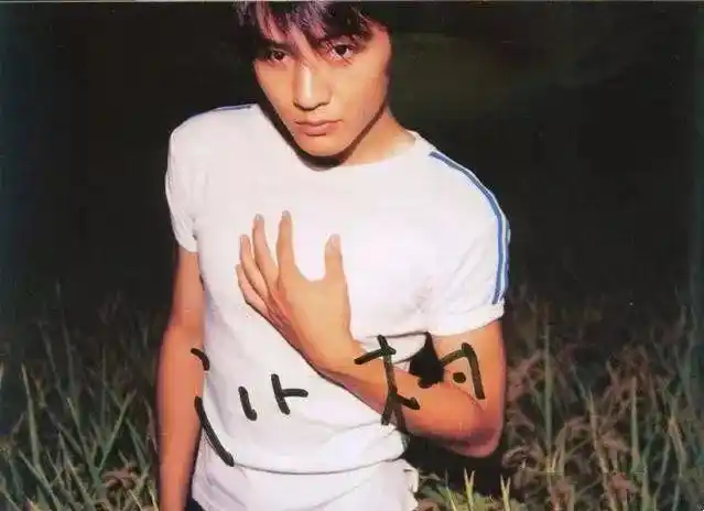 朴树为什么那么穷