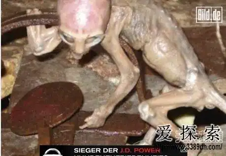 墨西哥农场抓到外星人宝宝:形象恐怖