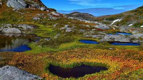 【美丽风景壁纸七】【1920x1080】[30p]