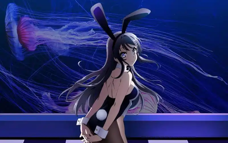 【青春猪头少年】2022年了,还有人喜欢樱岛麻衣吗?_哔哩哔哩_bilibili