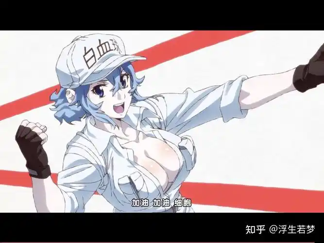 如何评价工作细胞black