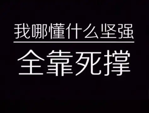 抖音热图我哪懂什么坚强全靠死撑