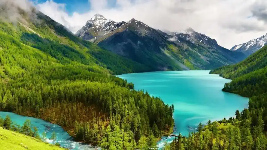 护眼壁纸【303】壁纸是一款电脑壁纸,属于小清新分类