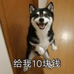 钱_钱表情包大全_斗图大全