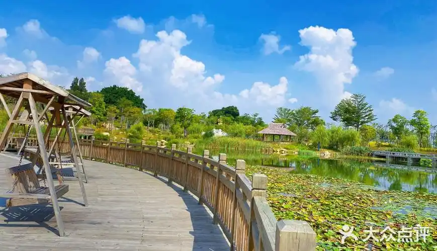 石狮湿地公园|工作累了小憩放空自己的地方