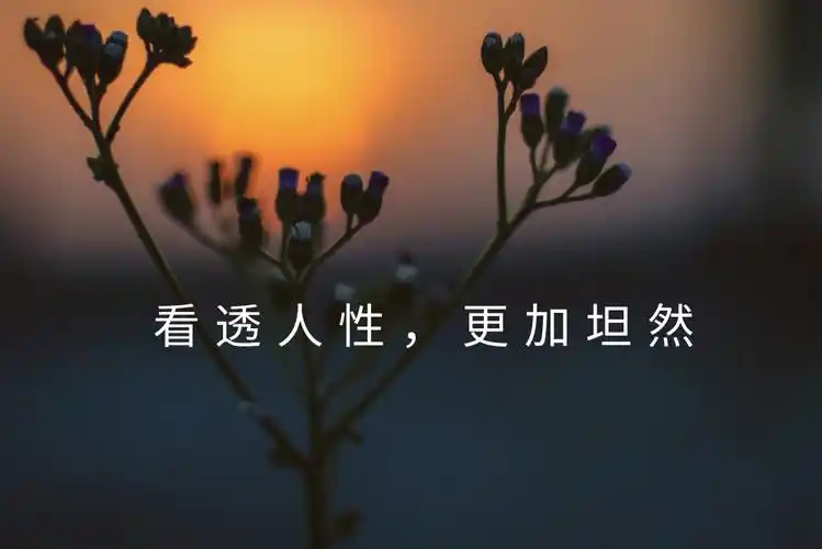 看破不说破是我最后的温柔