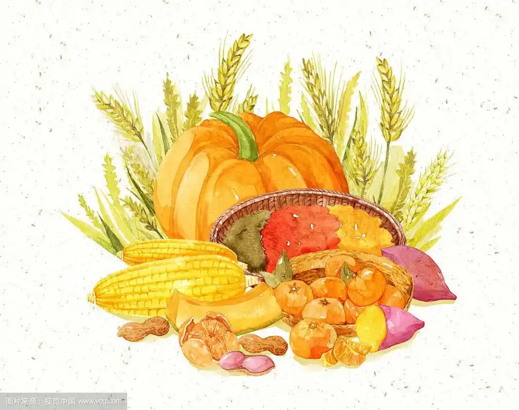 五谷丰登手绘水彩