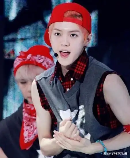 2012年,仅两年的训练,鹿晗获得了出道的机会,正式成为男团exo的一员.