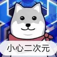 小心二次元是什么梗