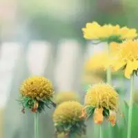 微信女头像风景【点击鼠标右键下载】