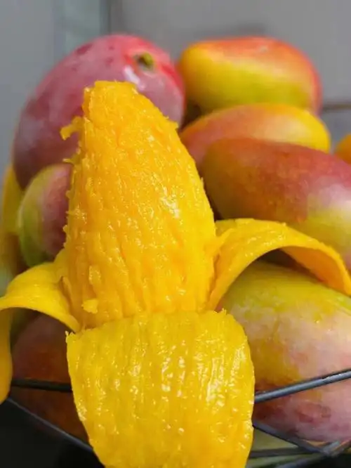 贵妃芒和金煌芒果哪个好吃_大全-幸福起航