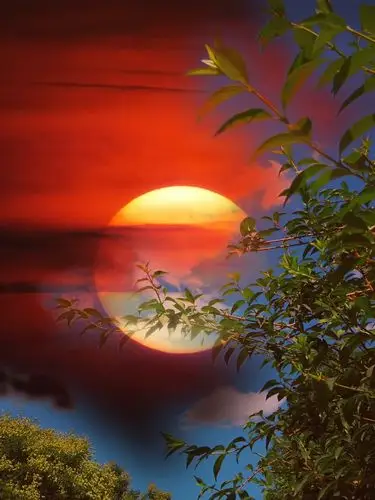 山水美景561日出东方