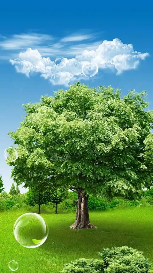 关键词 : 植树节,大树,梦幻,白云,蓝天,光环,源文件,h5背景,手托,绿地