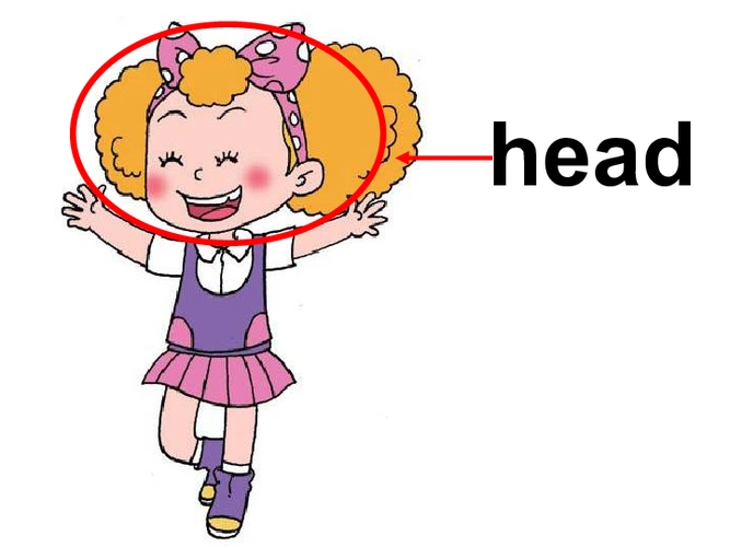 鲁科版英语三年级上册unit4lesson1thisismyhead共31张ppt