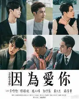 因为爱你2020电视剧-免费在线观看全集高清版-星辰影院