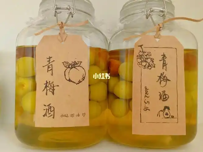 diy自制青梅酒标签