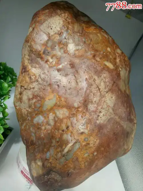 月亮玉化角砾五彩陨石(金雕)