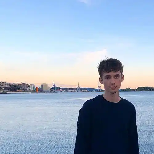 向全世界安利最好的troye siven # 戳爷 特洛耶·希文 :南非裔