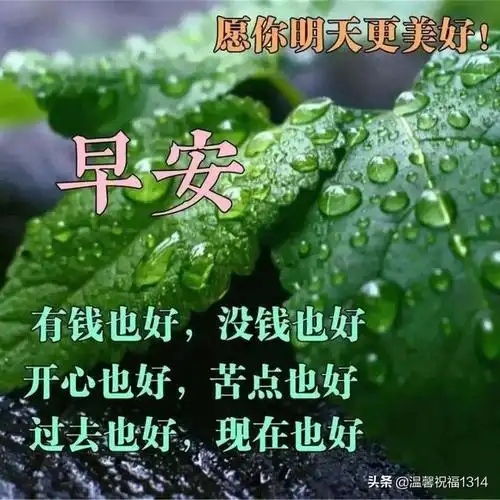 祝福语句简短唯美8个字,简短祝福语八个字(4月2日最漂亮的早上好温馨