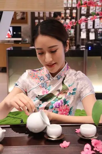 顺电人像拍照,品茶美女