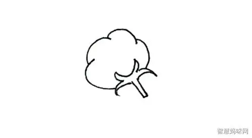 棉花简笔画画法步骤