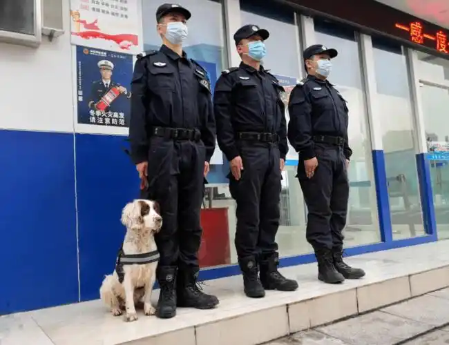 春节我在岗江陵巡特警我们在平安就在