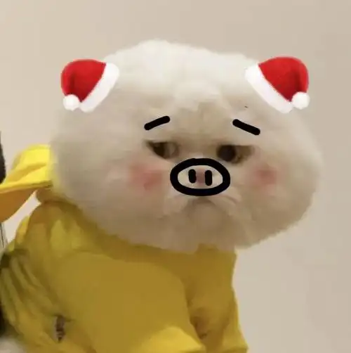 有没有可爱(沙雕)的表情包啊?