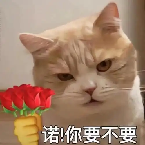 女朋友生气了哄她的表情包女朋友生气了哄她的话表情包