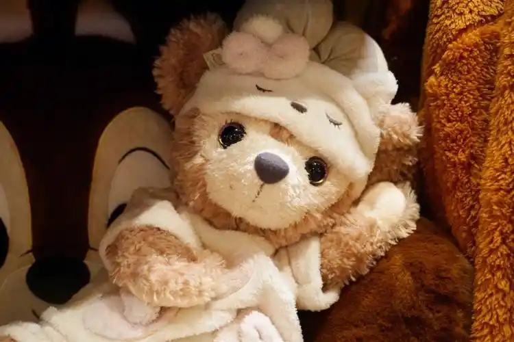 雪莉玫丨穿上睡衣一起入眠吧