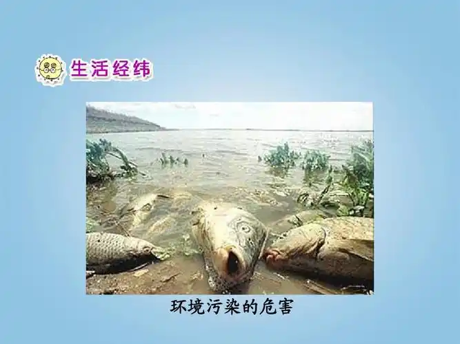 环境污染的危害