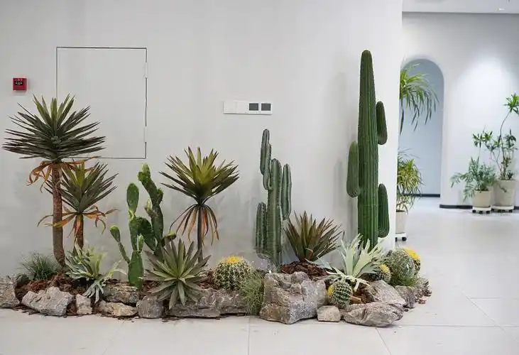 南昌仿真植物造景岩石沙生沙漠植物