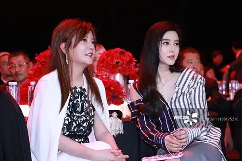 兔区金桔:范冰冰比赵薇好看 —— 晋江文学城网友交流区