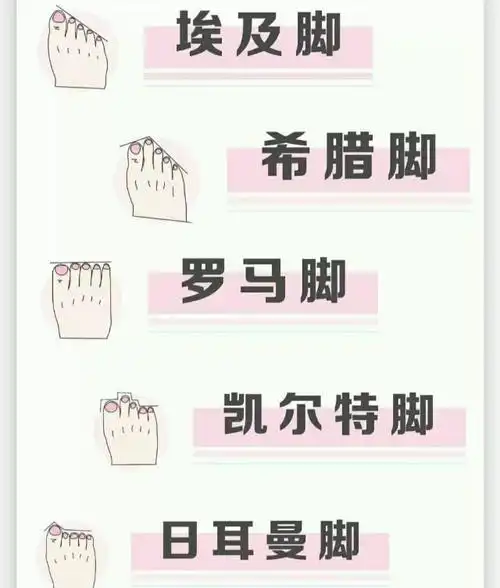 埃及脚适合斜尖头,斜方头鞋;希腊脚适合尖头鞋,不适合鱼嘴鞋;罗马脚