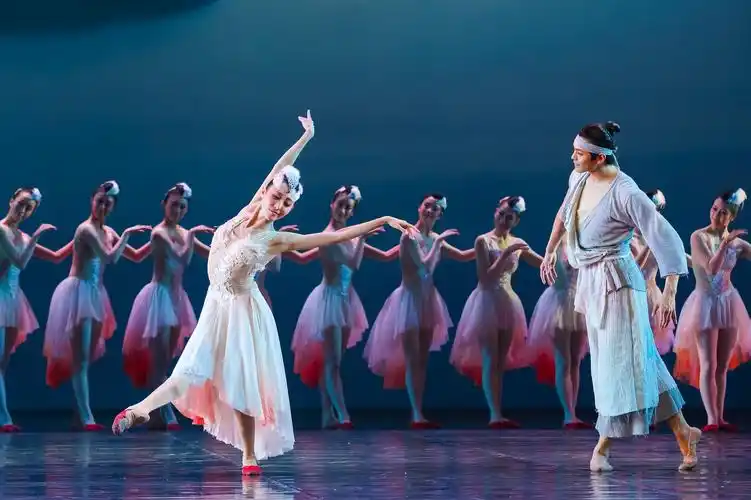 中国舞剧《朱鹮》为什么在日本受欢迎?