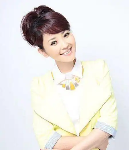 河北卫视主持人丁蕊