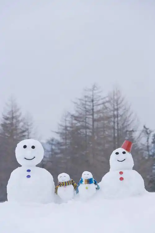 树林,雪,植物,大雪,一排,整齐,装饰,桶,积雪,雪景,雪人,冬季,冬天,玩