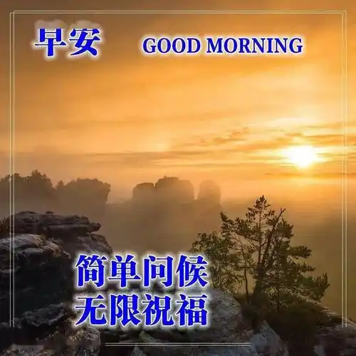 冬天清晨早安温馨问候语早上好鲜花漂亮问候语图片