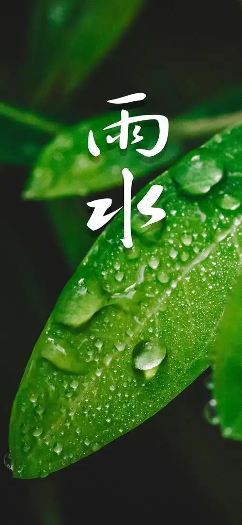 最美的二十四节气雨水