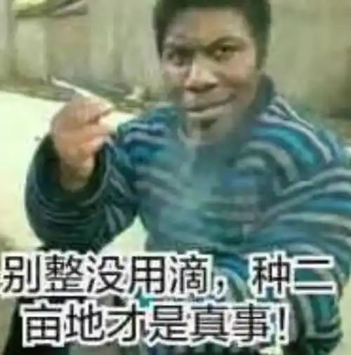 别整没用滴种二亩地才是真事表情包大全聊天图片表情