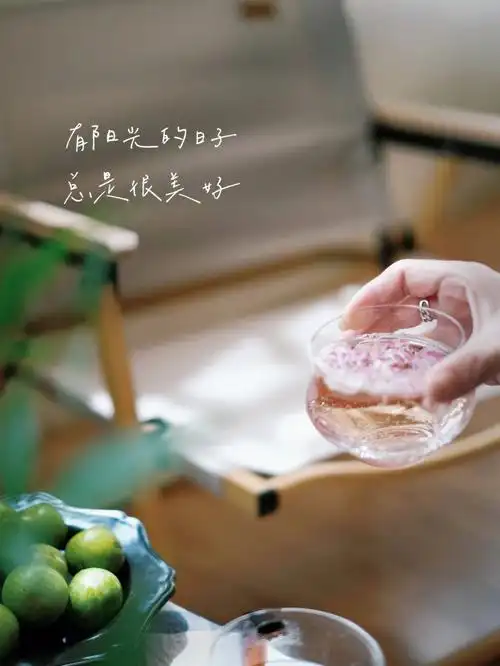 社交是生活所需独处是自我享受