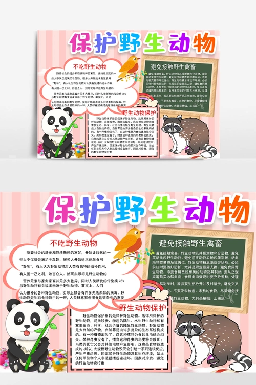 保护野生动物小报手抄报模板