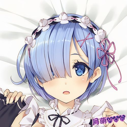 从零开始的异世界生活 蕾姆 雷姆 鶴崎貴大 2wt动漫等身抱枕套