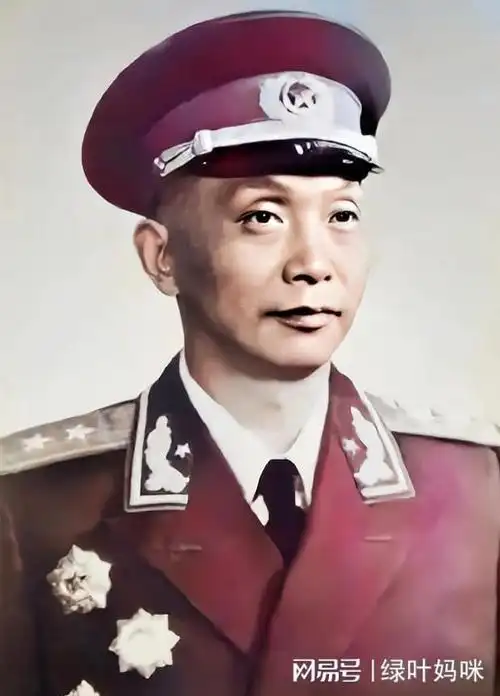 谭希林将军津浦路东联防司令部司令员:杨梅生,政委:刘顺元杨梅生原名