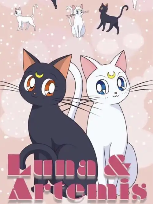 不过我对美少女战士中的露娜猫猫还是记得的