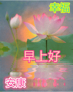 2020美女早安祝福动态表情图片新版早上好问候祝福语短信