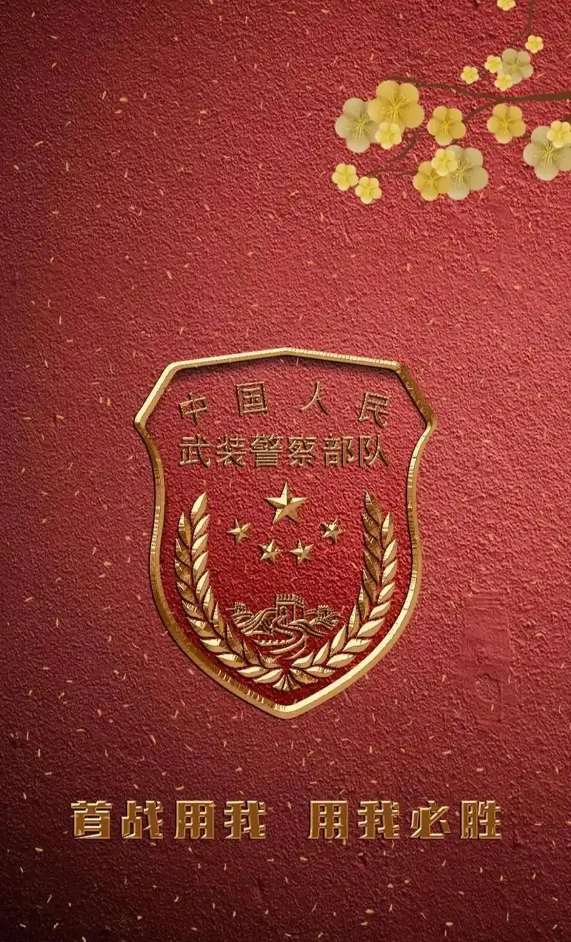 若有战,召必回,战必胜;致所有的老兵#不忘初心牢记使命 #喜 - 抖音