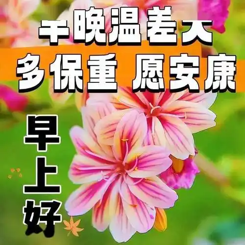 把红火的福字送达,愿您福禄双全;将热闹的气氛递上,愿您美满如意;把喜