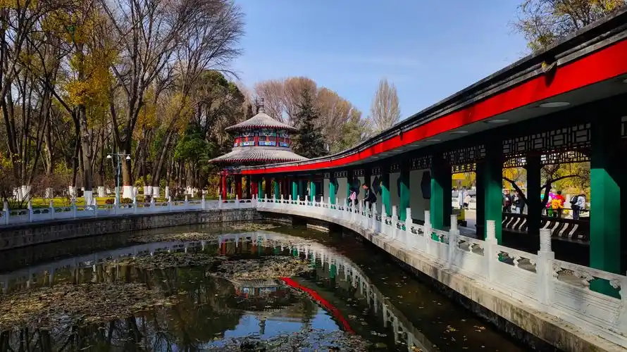 西宁人民公园秋景(手机)